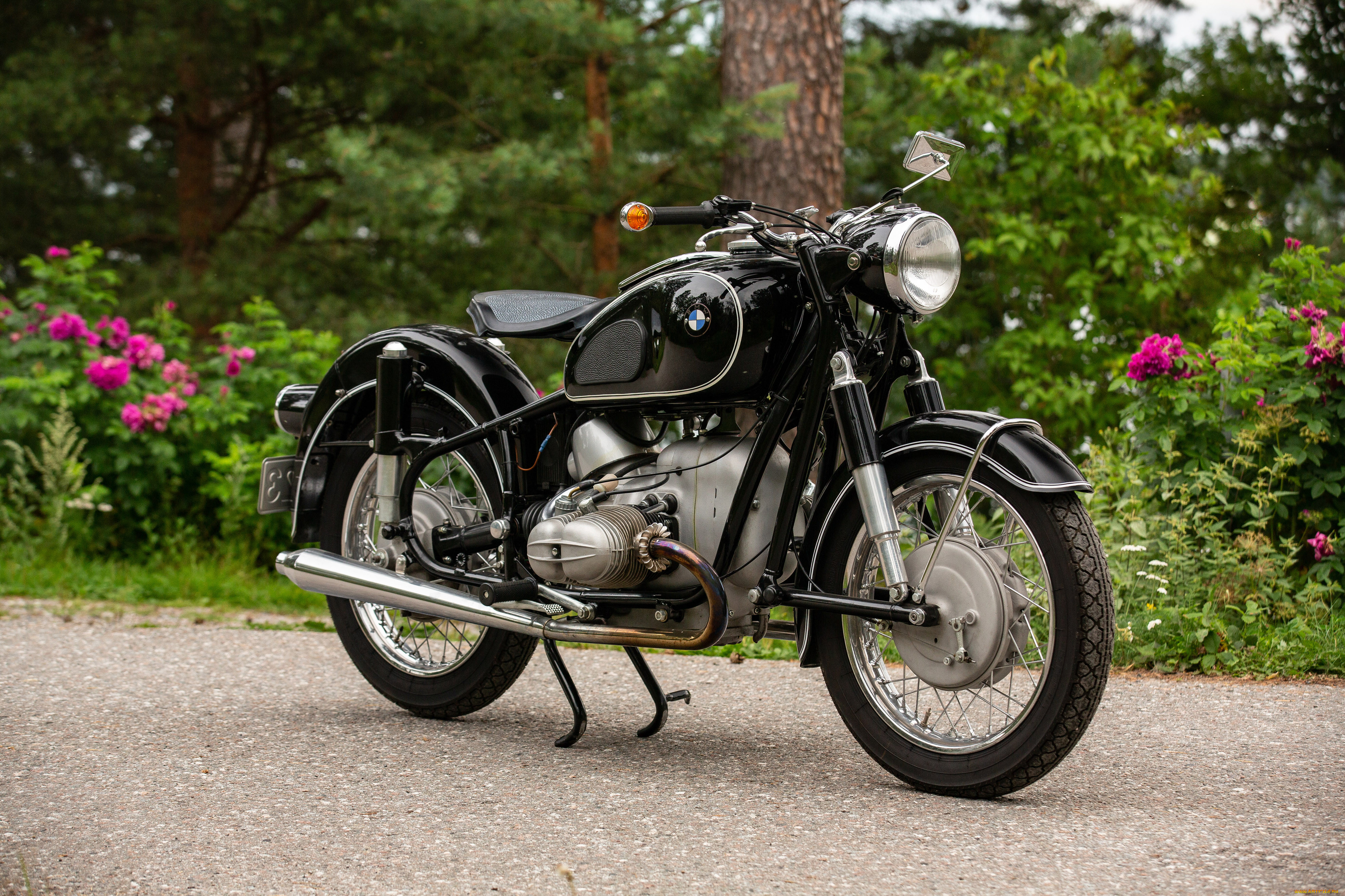 ���������, bmw